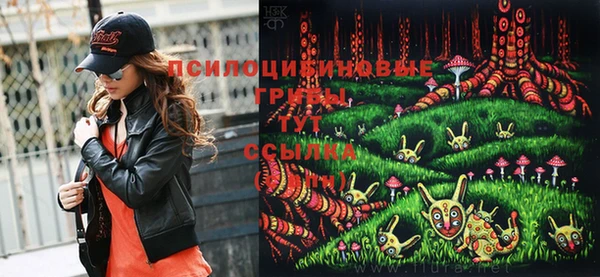 сатива Осинники
