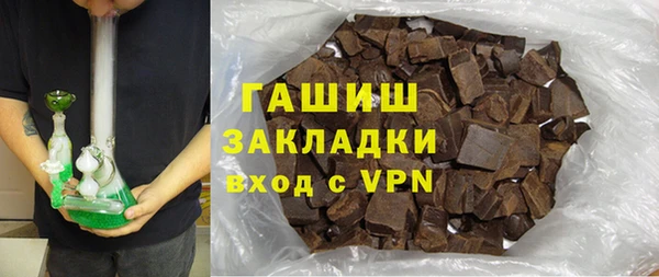 хмурый Алексин