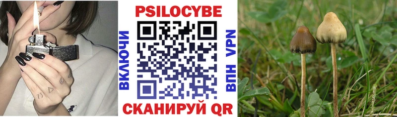 Галлюциногенные грибы Magic Shrooms  где купить наркотик  Лукоянов 